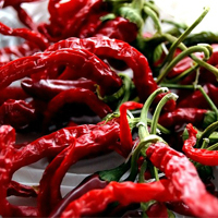 Spices-chillies (1)      